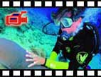Download Free