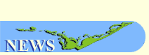 NOTICIA2.gif (2345 bytes)