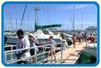 Arribo de turistas por Marinas Puertosol