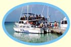 Visita a Cayo Iguana
