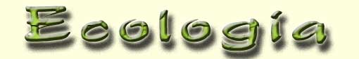 ecologia2.jpg (5997 bytes)