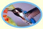 Zunzn